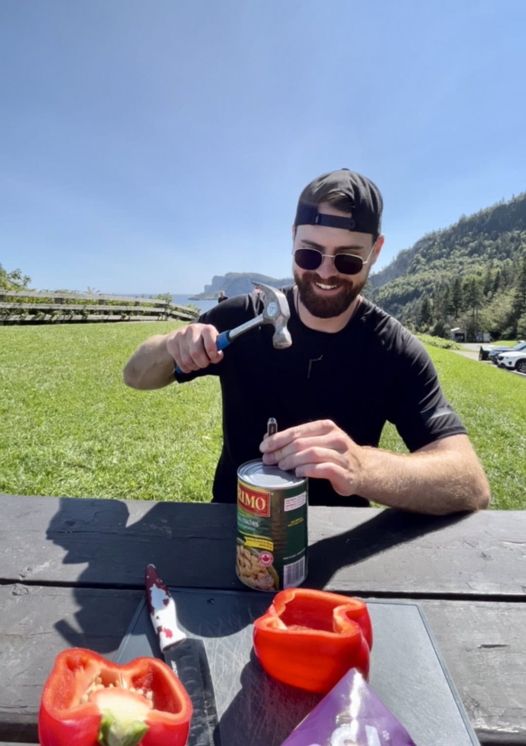 Forillon picnic