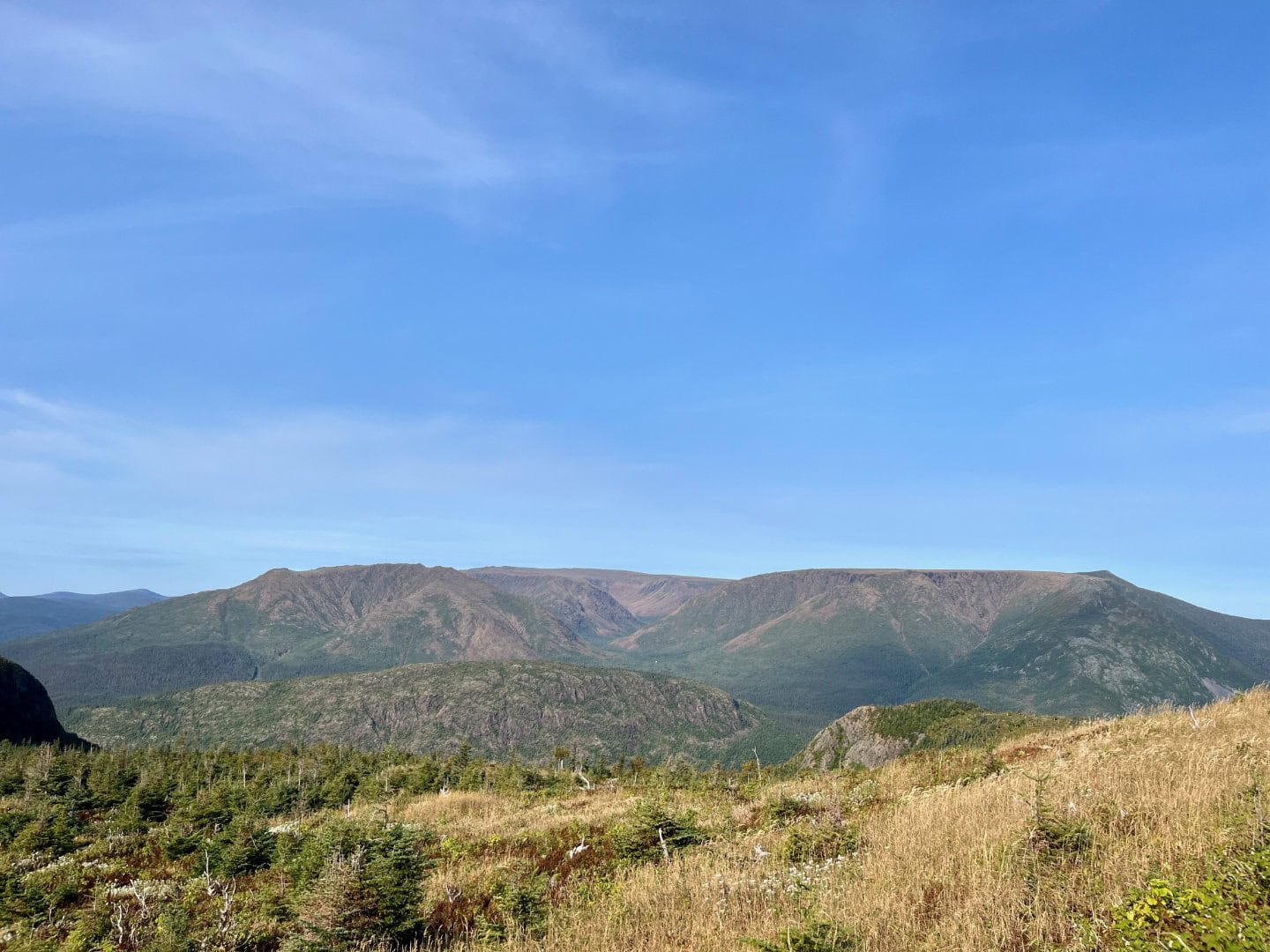 Mont Albert