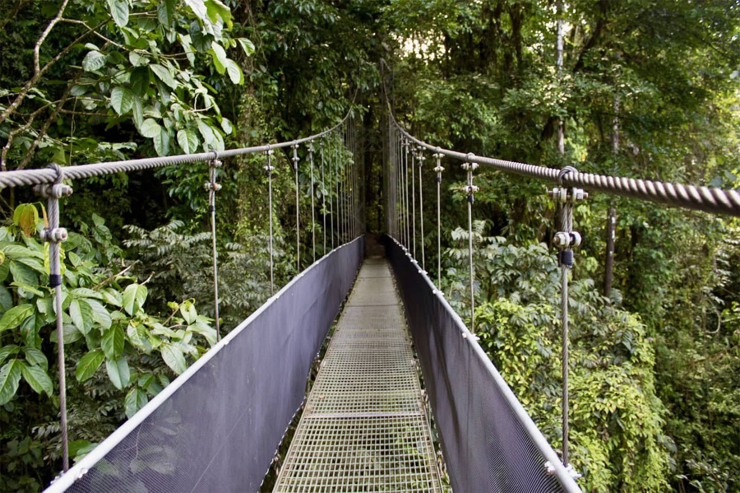Monteverde