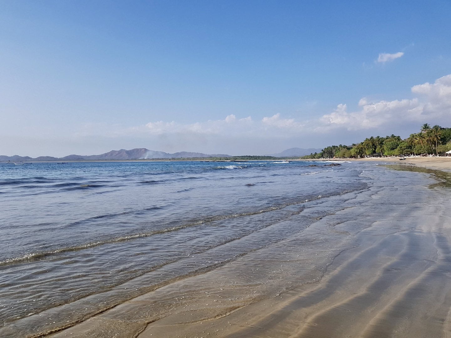 Tamarindo
